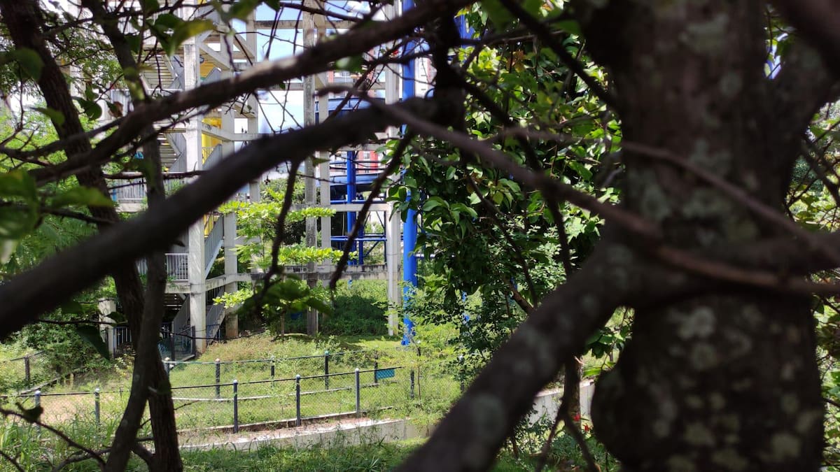La maleza ha consumido parte de las atracciones y zonas verdes del parque.