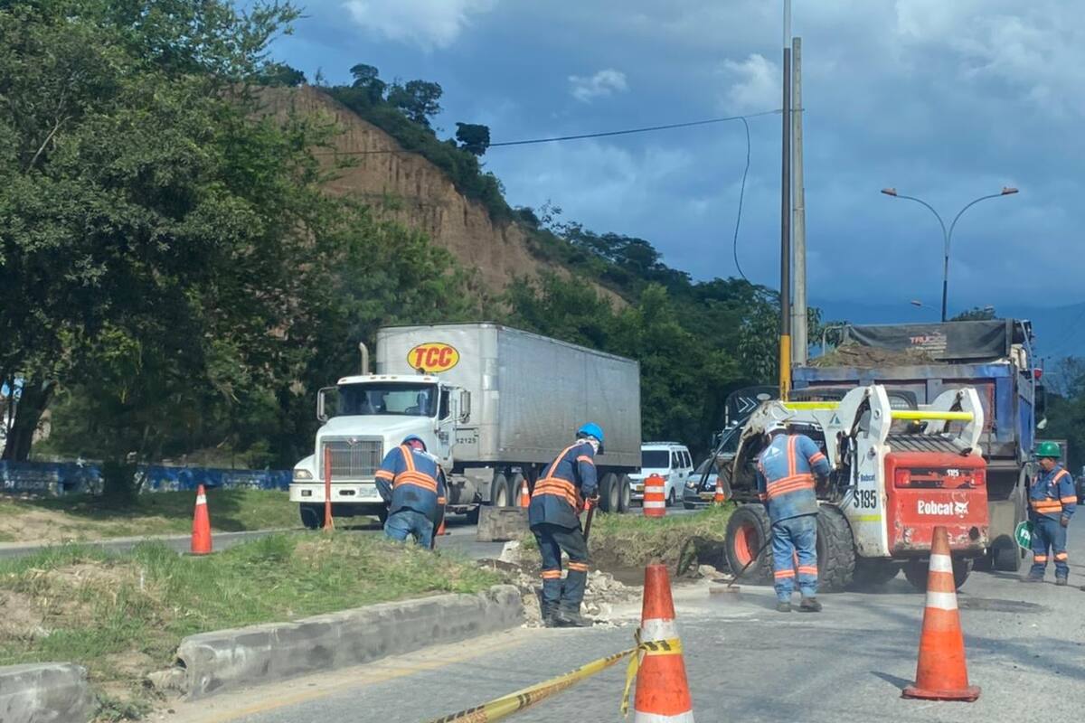 Suministrada/Vanguardia