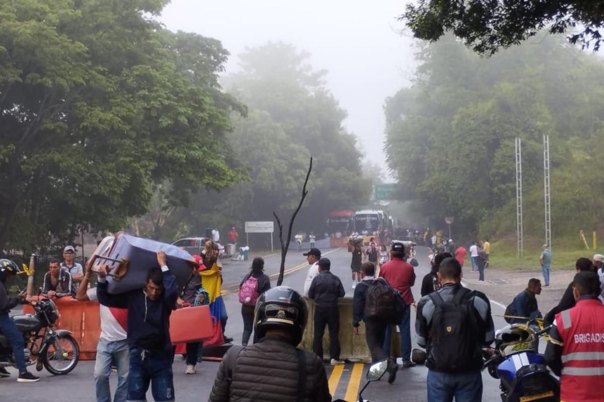 Suministrada/Vanguardia