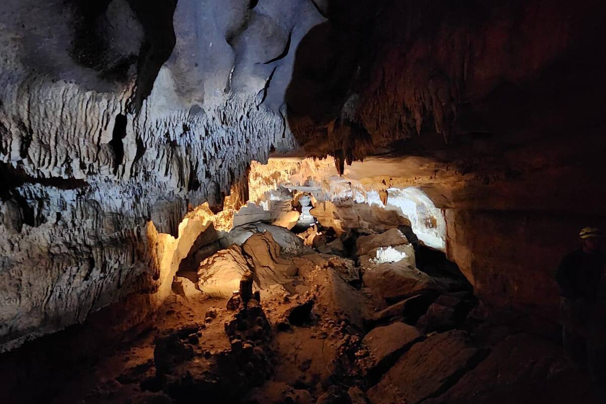 Suministrada/Vanguardia