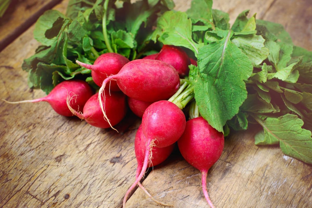 Banco de imágenes gettyimages | VANGUARDIA