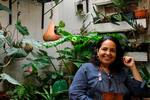 Plantarte, un espacio para los amantes de las plantas en Bucaramanga