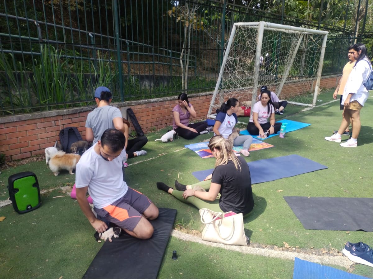 ¿Yoga con perros? Conozca qué es el doga y cómo practicarlo en Bucaramanga | Suministrada/Vanguardia