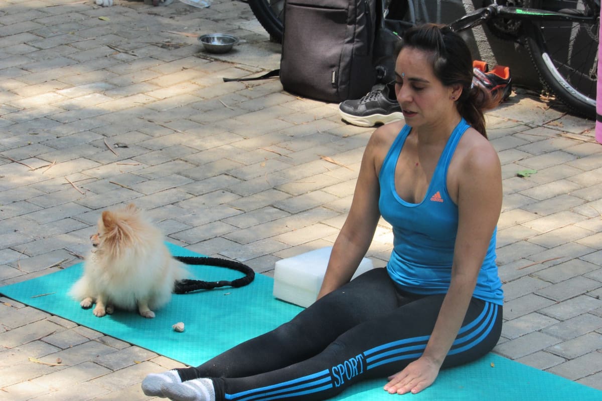 ¿Yoga con perros? Conozca qué es el doga y cómo practicarlo en Bucaramanga | Suministrada/Vanguardia