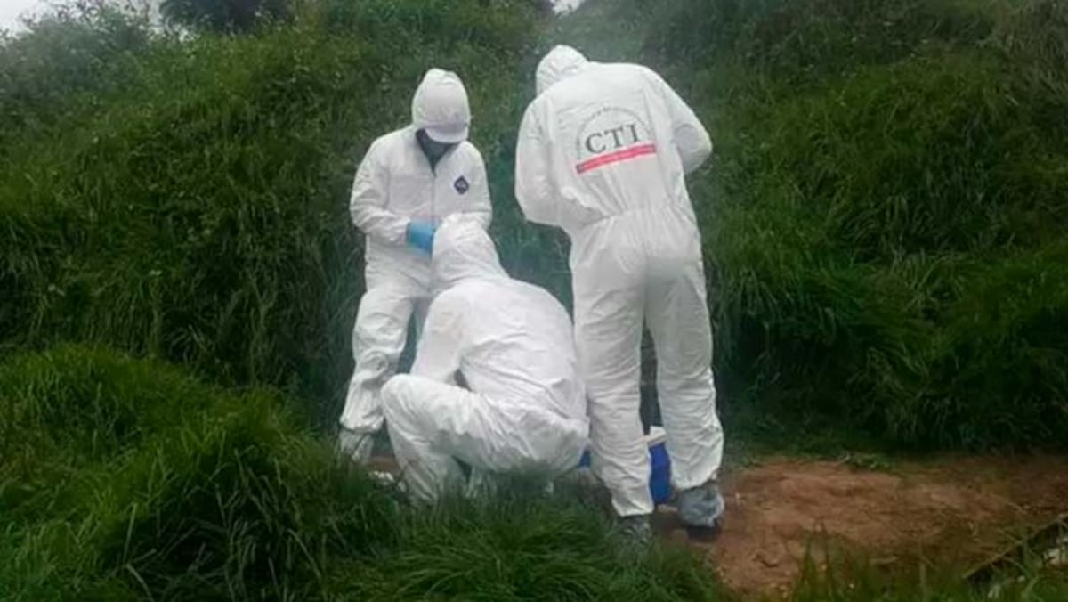 El cuerpo de Yulixa Toloza fue encontrado en una zona boscosa entre Apulo y Anapoima, Cundinamarca.